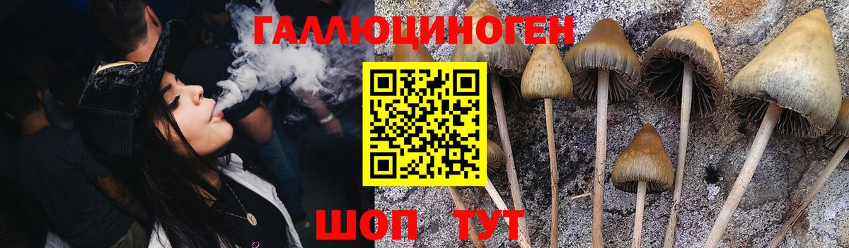 Галлюциногенные грибы Magic Shrooms Югорск